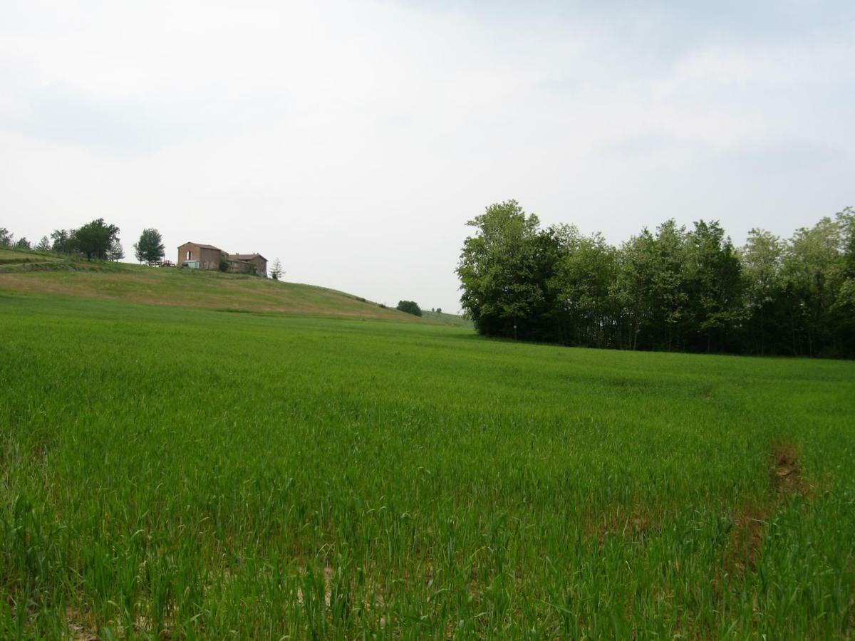 Вилла Agriturismo Ca' Preda San Giorgio Piacentino Экстерьер фото